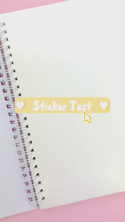 Lumin Reusable Plain Sticker Book